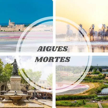 Le Sunrise Vue Acces Plage- Spacieux-2 Terrasses-wifi - Confort -top Pros Servicesconciergerielagrandemotte *