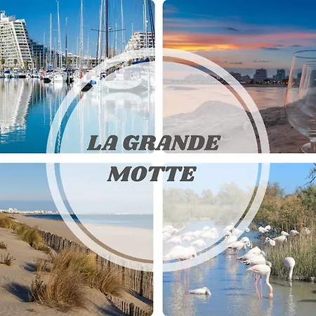 Le Sunrise Vue Acces Plage- Spacieux-2 Terrasses-wifi - Confort -top Pros Servicesconciergerielagrandemotte