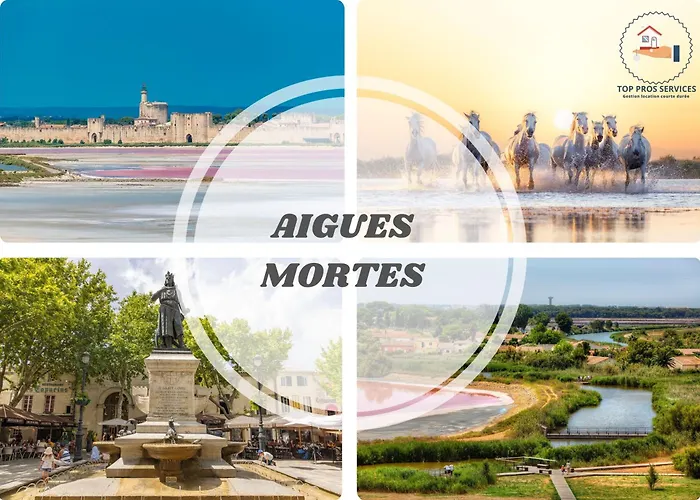 Le Sunrise Vue Acces Plage- Spacieux-2 Terrasses-wifi - Confort -top Pros Servicesconciergerielagrandemotte *